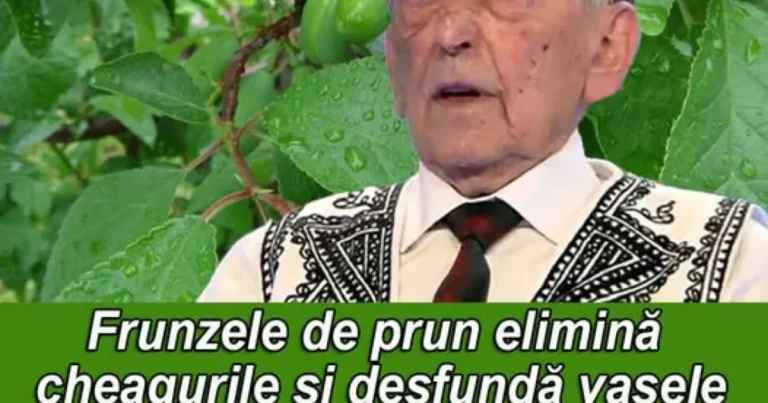 REȚETA PROFESORULUI OVIDIU BOJOR: