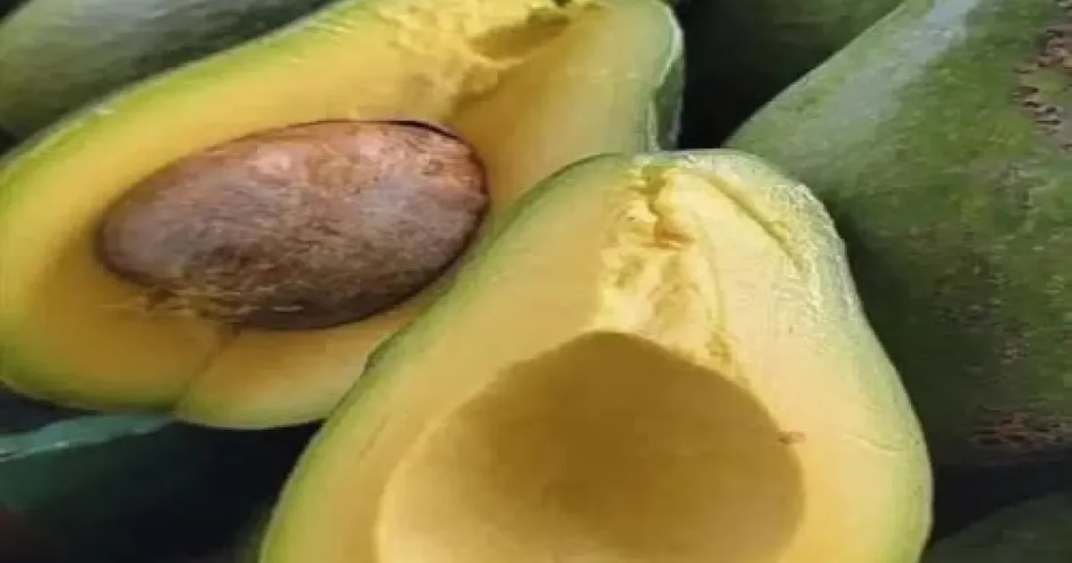 AVOCADO: ALIMENT MINUNE SAU RISC DIGESTIV?