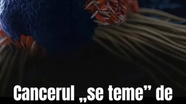 8 ALIMENTE CARE POT SUSȚINE ORGANISMUL ÎN FAȚA CANCERULUI. CE SPUN CERCETĂRILE DESPRE PUTEREA FARFURIEI
