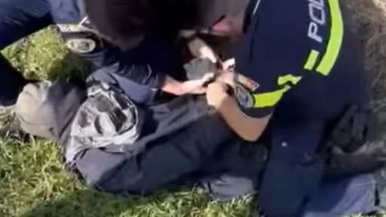 CRIMĂ ȘOCANTĂ ÎN TIMIȘ: UN BĂRBAT DE 46 DE ANI A FOST GĂSIT MORT PE UN CÂMP